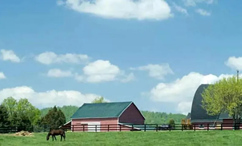 Spacious Modular Rental on Huge Horse and Cattle Farm near Charlottesville, Virginia