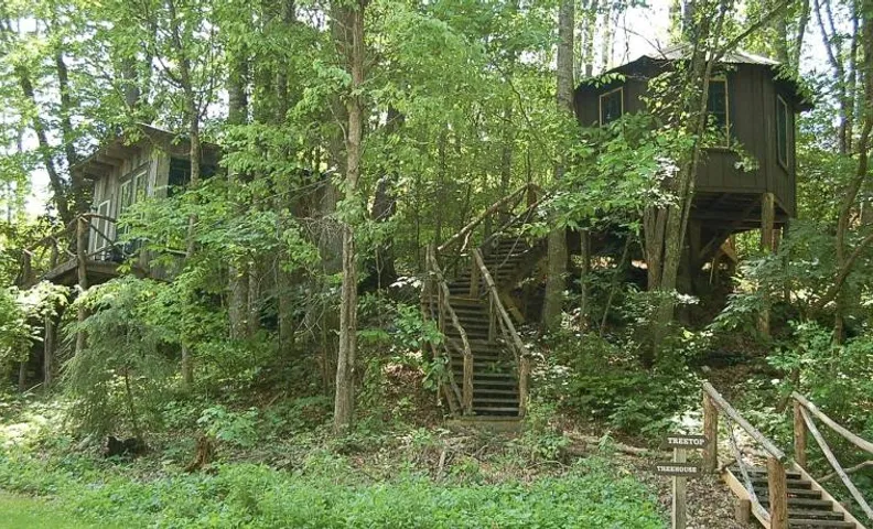 Tree Top Cabin in Crumpler, North Carolina