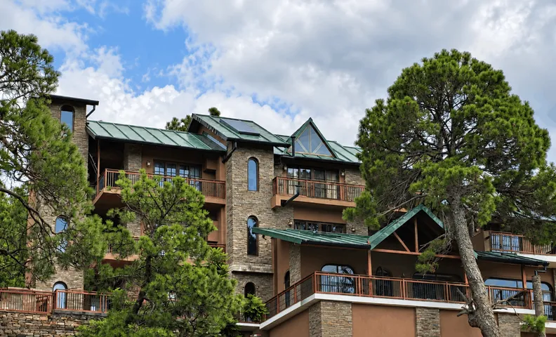 The Camellia House