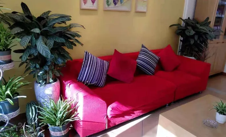 Homeinn Hotel (Cangzhou Nanchuan Old Street Wuzhong)