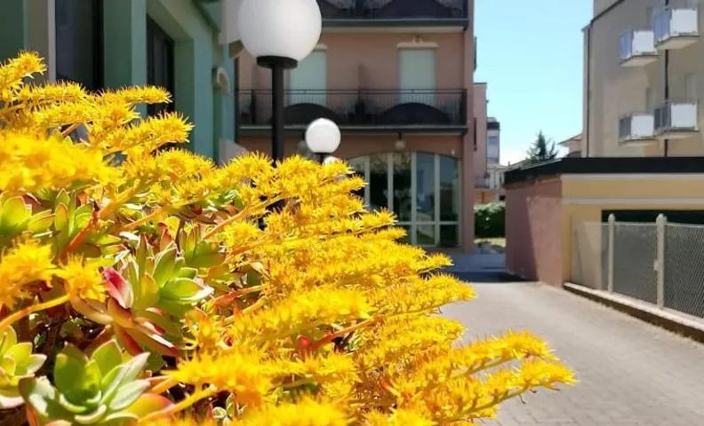 Hotel Anita B&B sul lungomare