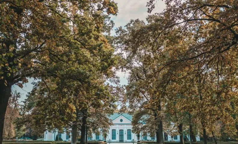 Pałac Sieniawa