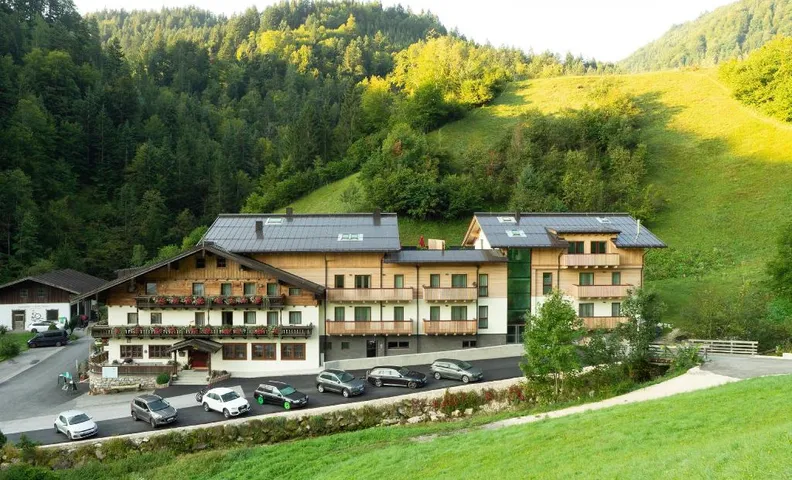Hotel Friedlwirt - Kraftplatz Natur