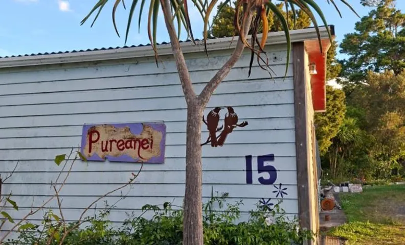 Pureanei