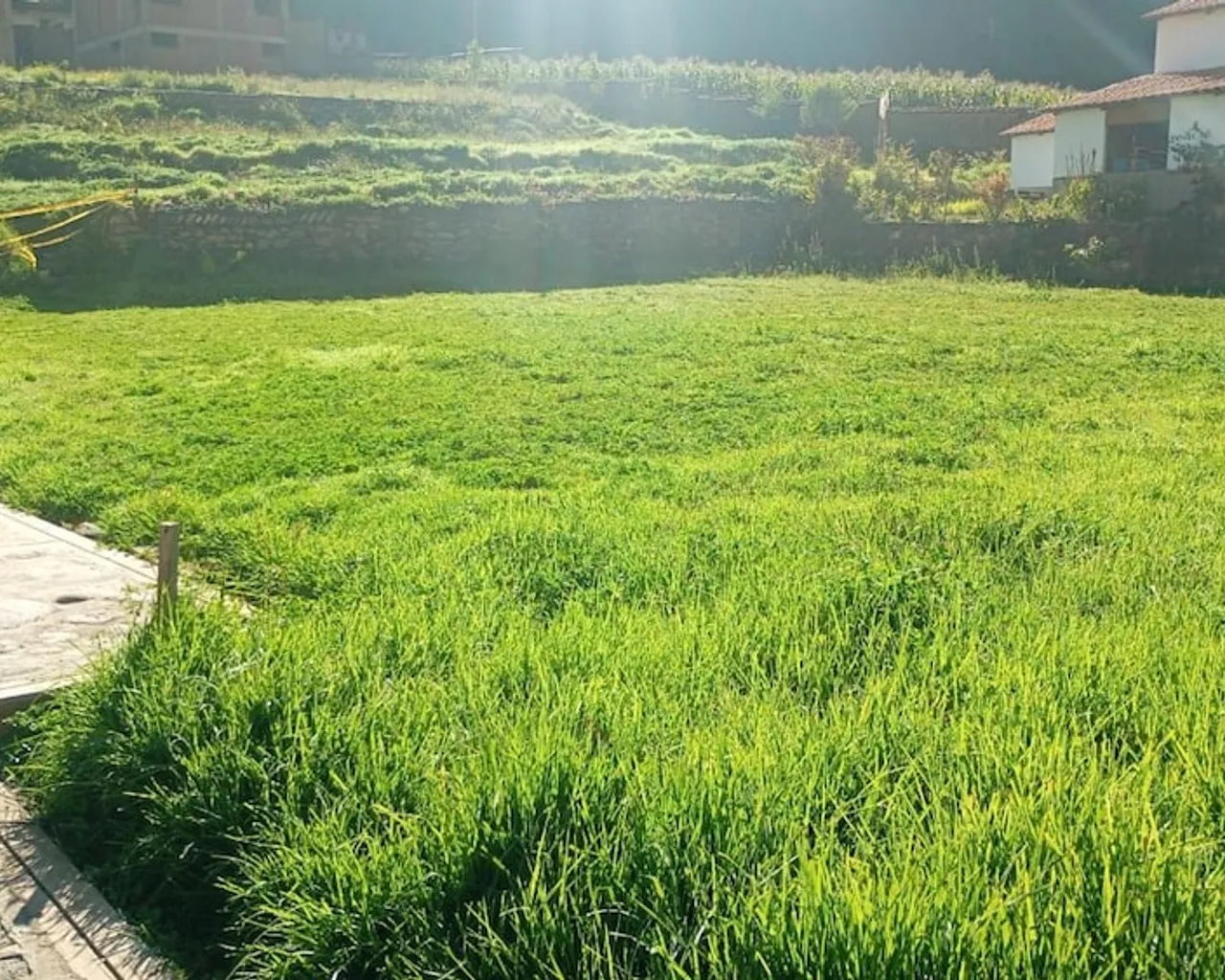 숙소 주변