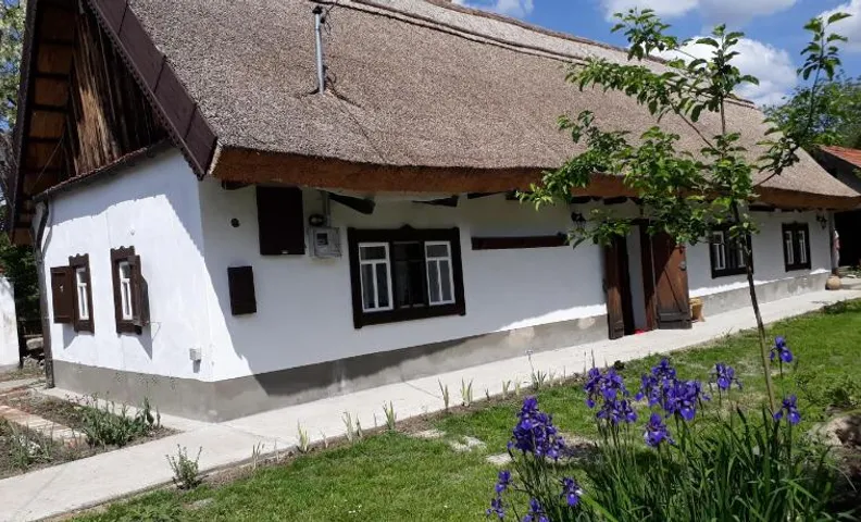 Forrás