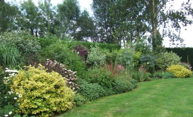 Lime Trees Farm