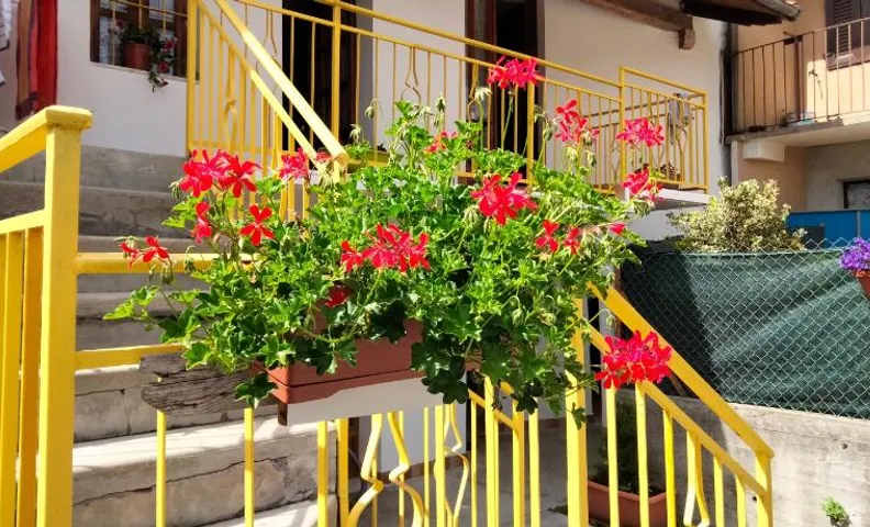 B&B LA MARMOTTA