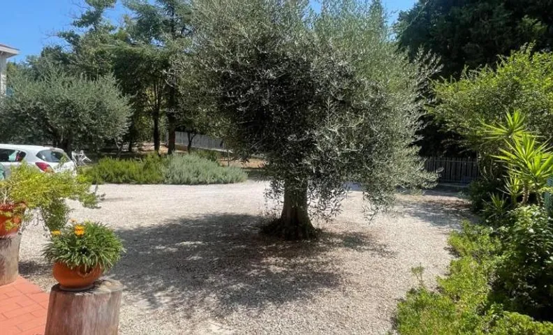 La Corte delle Marche