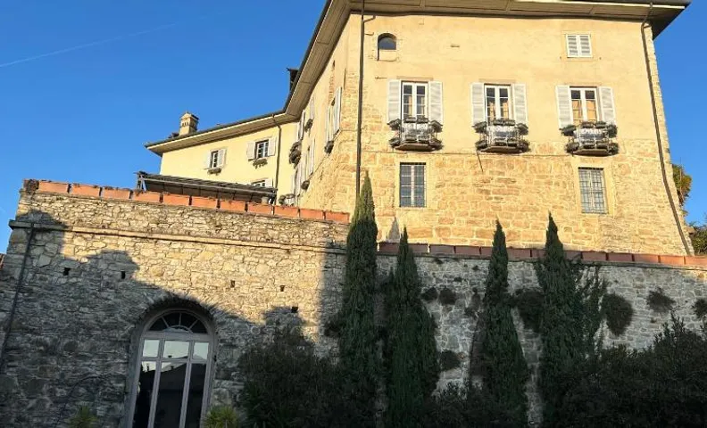 Volta Palazzo Gout