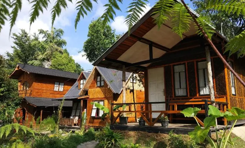 Canyon Jungle Stay