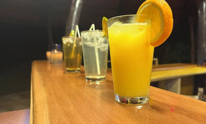 사발로 로지