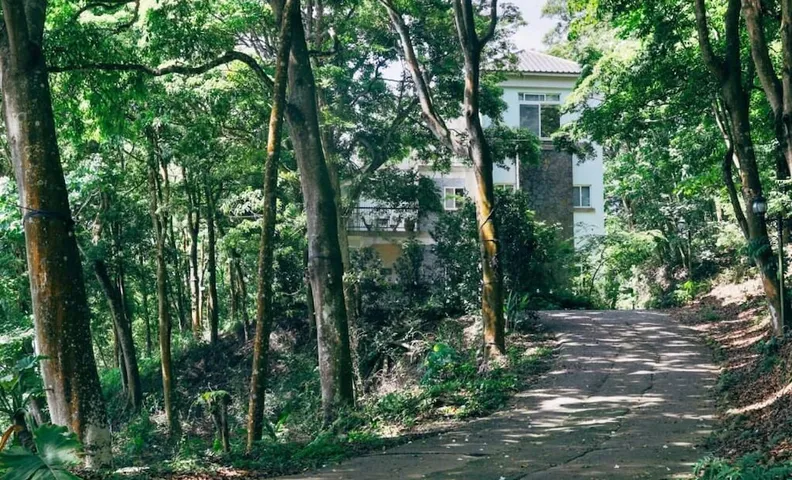 레인디어 바이 류볼랑, 산이