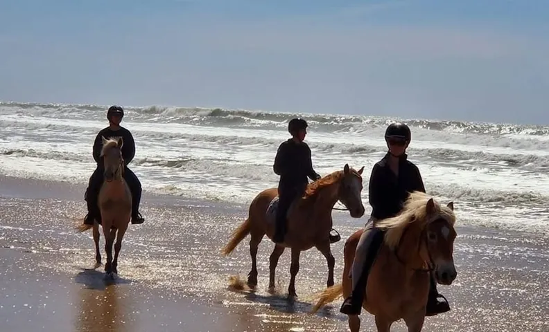 오 쾨르 뒤 랜치