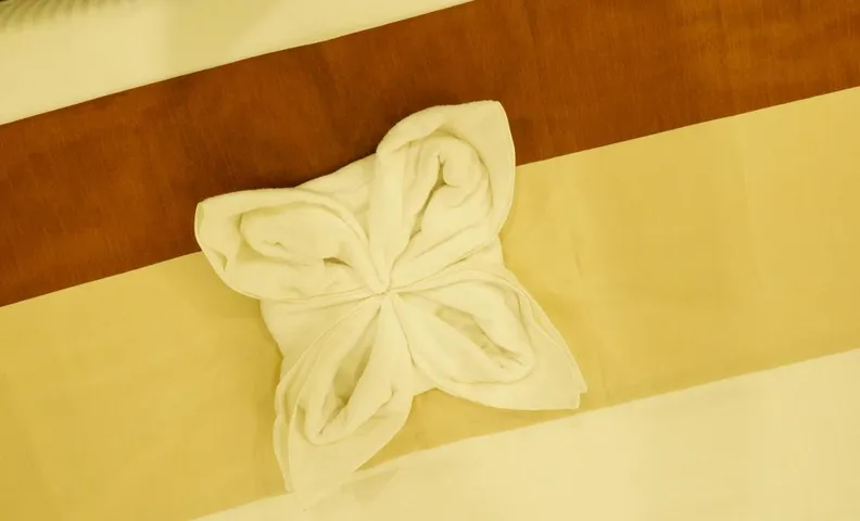 Hotel DR Indraaprasthaa