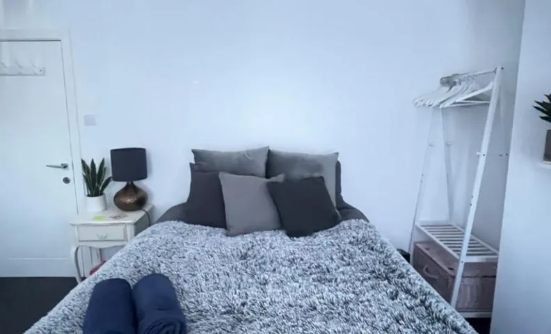 Artsy Minimalist Suite
