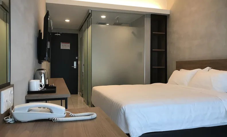 덴델리온 인