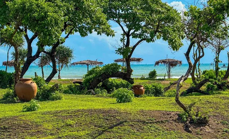 MareCoves Resort & Glamping