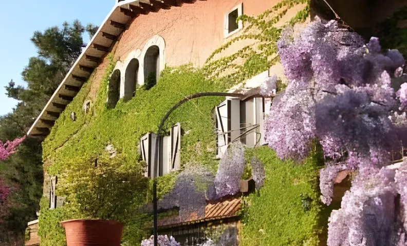 Masia Vista Hermosa