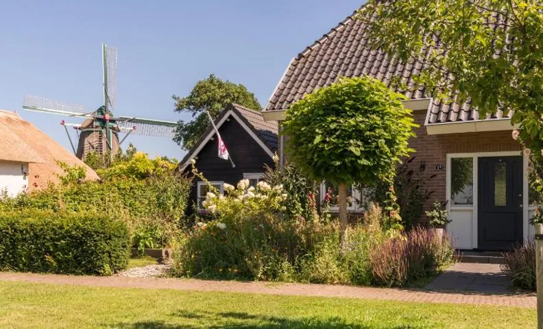 Zalk blijven slapen