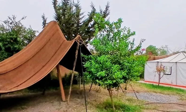Bivouac Sahara sous