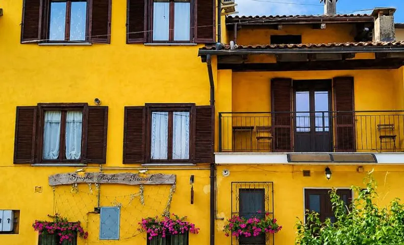 Spighe Paglia e Girasole