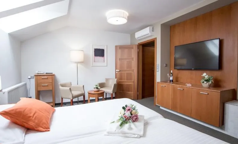 Hotel Pod Vezi
