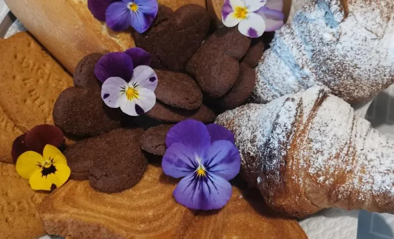 Il Colibrì Bed&Breakfast