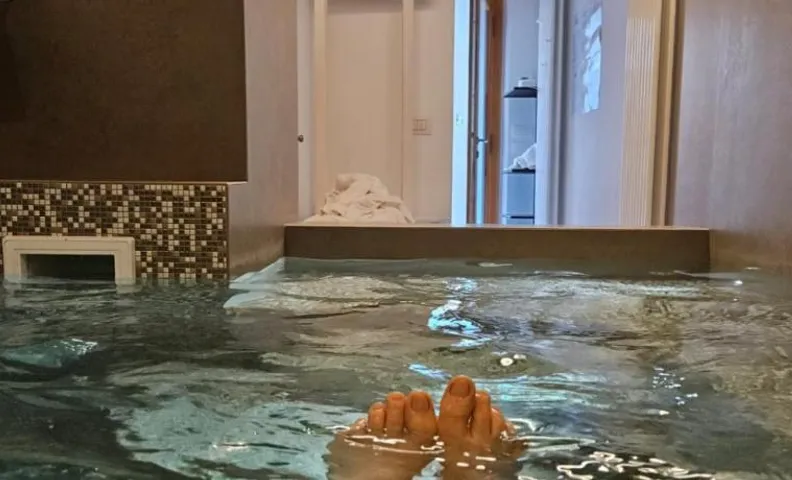Le Zitelle di Ron