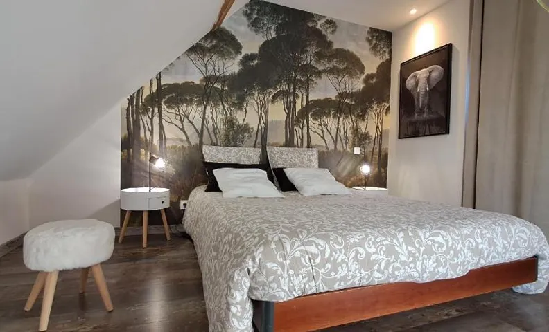 Chambre d'hôtes proche zoo de Beauval, l'olivier de chémery