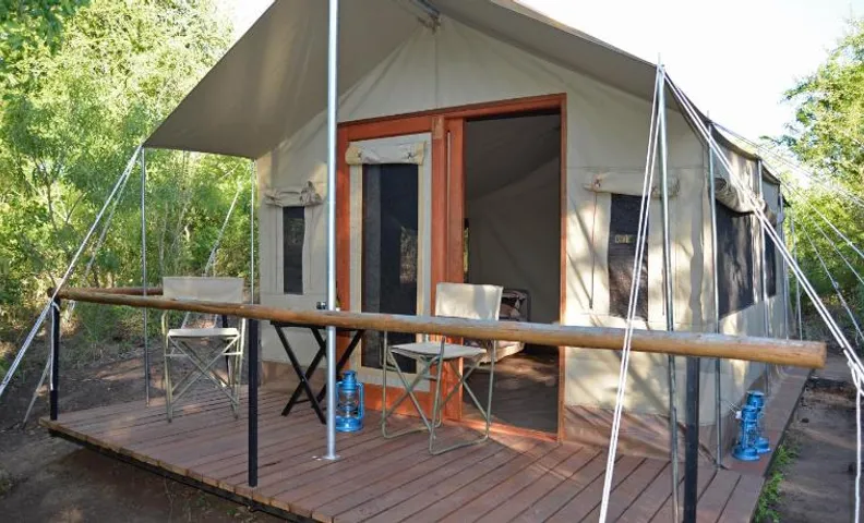 The Wild Olive Tree Camp