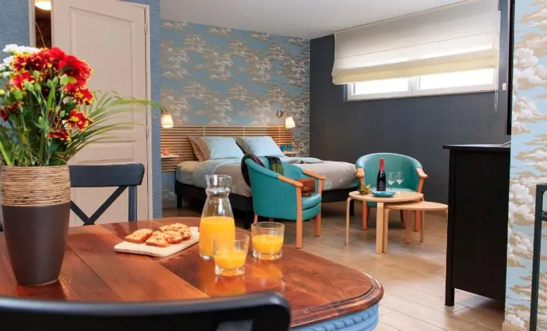 gite du vieux saule 1 gite avec spa privatif pour 2 personnes 1 suite familiale sans spa