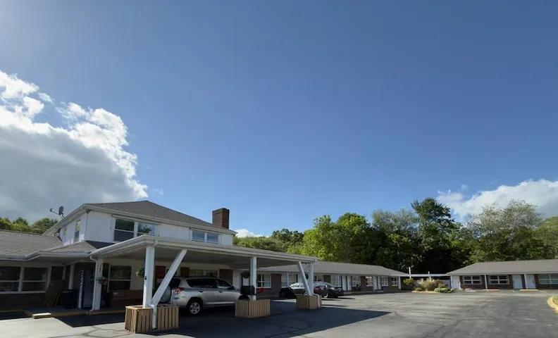 엘리트 인