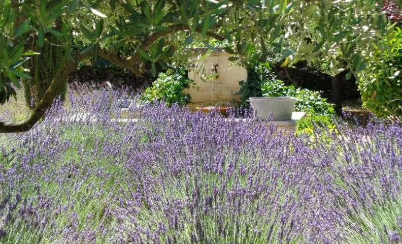 Clos des Lavandes - Chambres et Suites de charme climatisées-Luberon