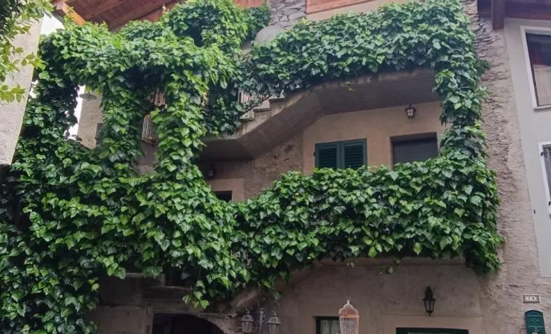Foresteria Traversi
