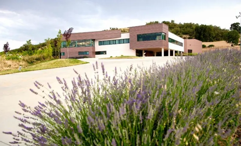 Hotel Bodegas Traslascuestas - GRUPO PIÉROLA