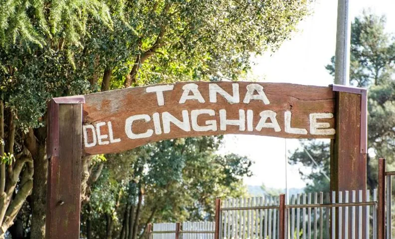 La Tana Del Cinghiale