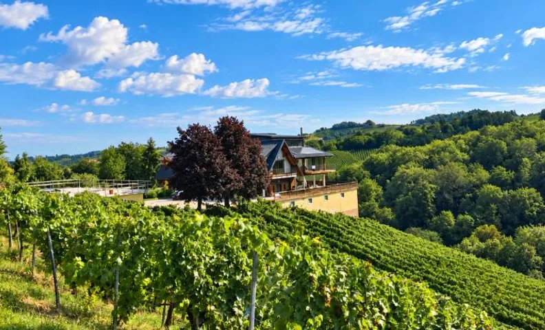 Weingut K14
