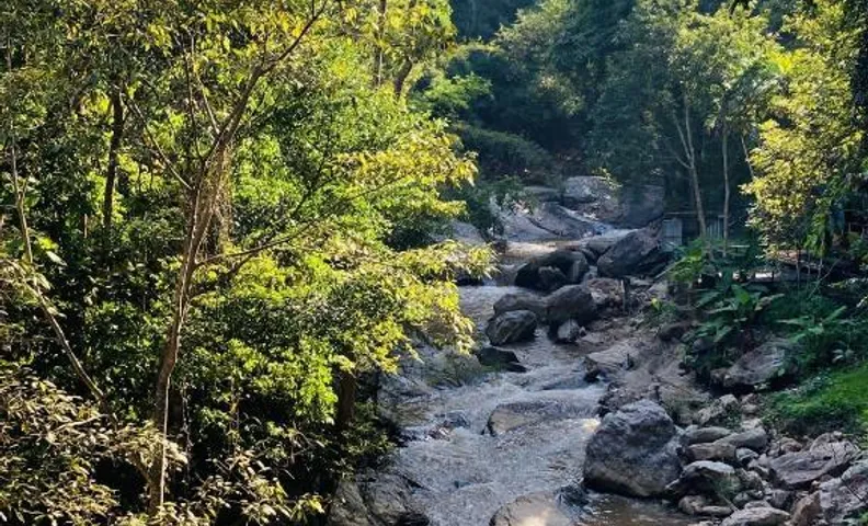 매사 그리너리 힐