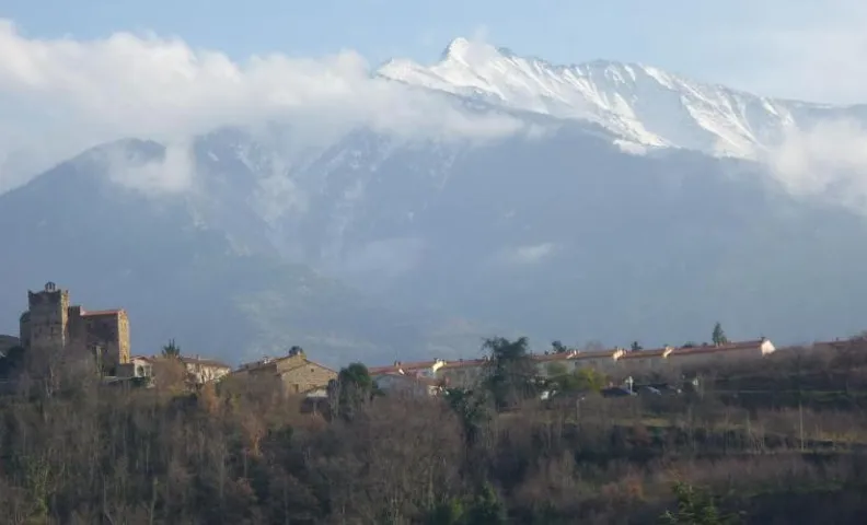Chez Vivi