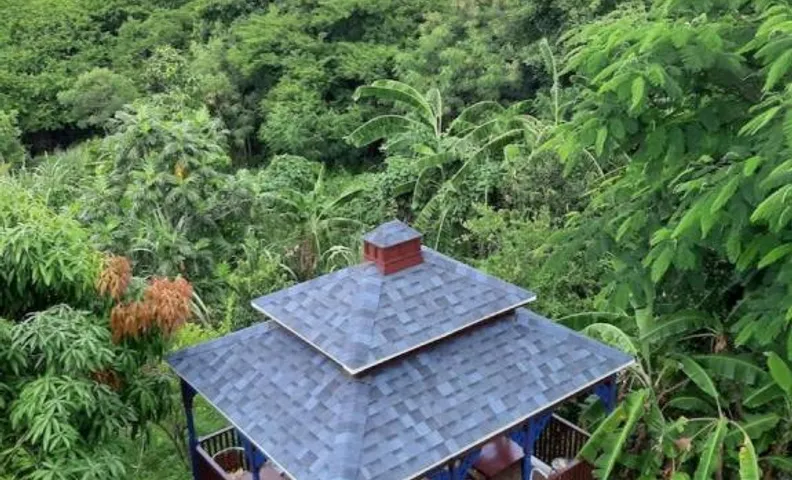 LambLion Holiday Apartments