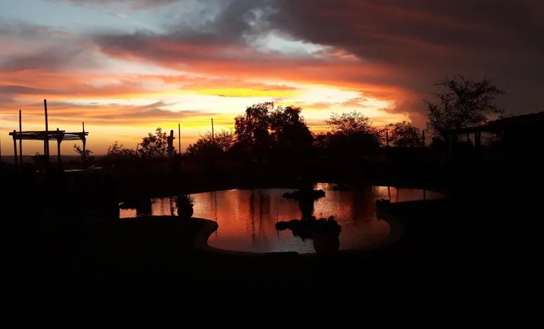 Nyani Lodge Dinokeng