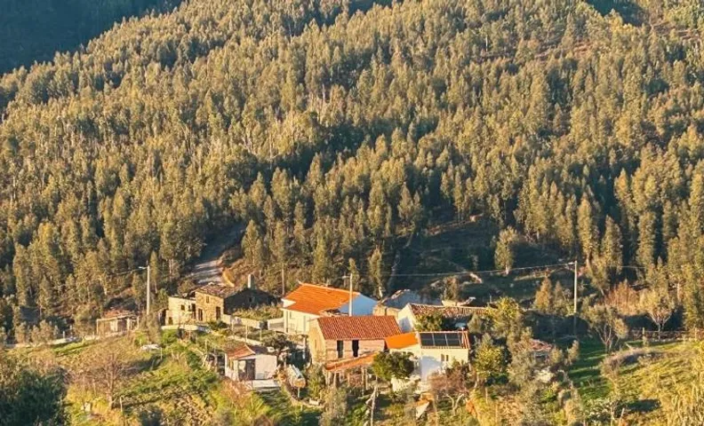 Alojamento Local Vale dos Vascos