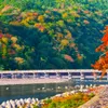 [부산출발_6인이상출발] 오사카/교토/고베 3일(오전출발-저녁리턴+천연온천+USJ 선택가능)