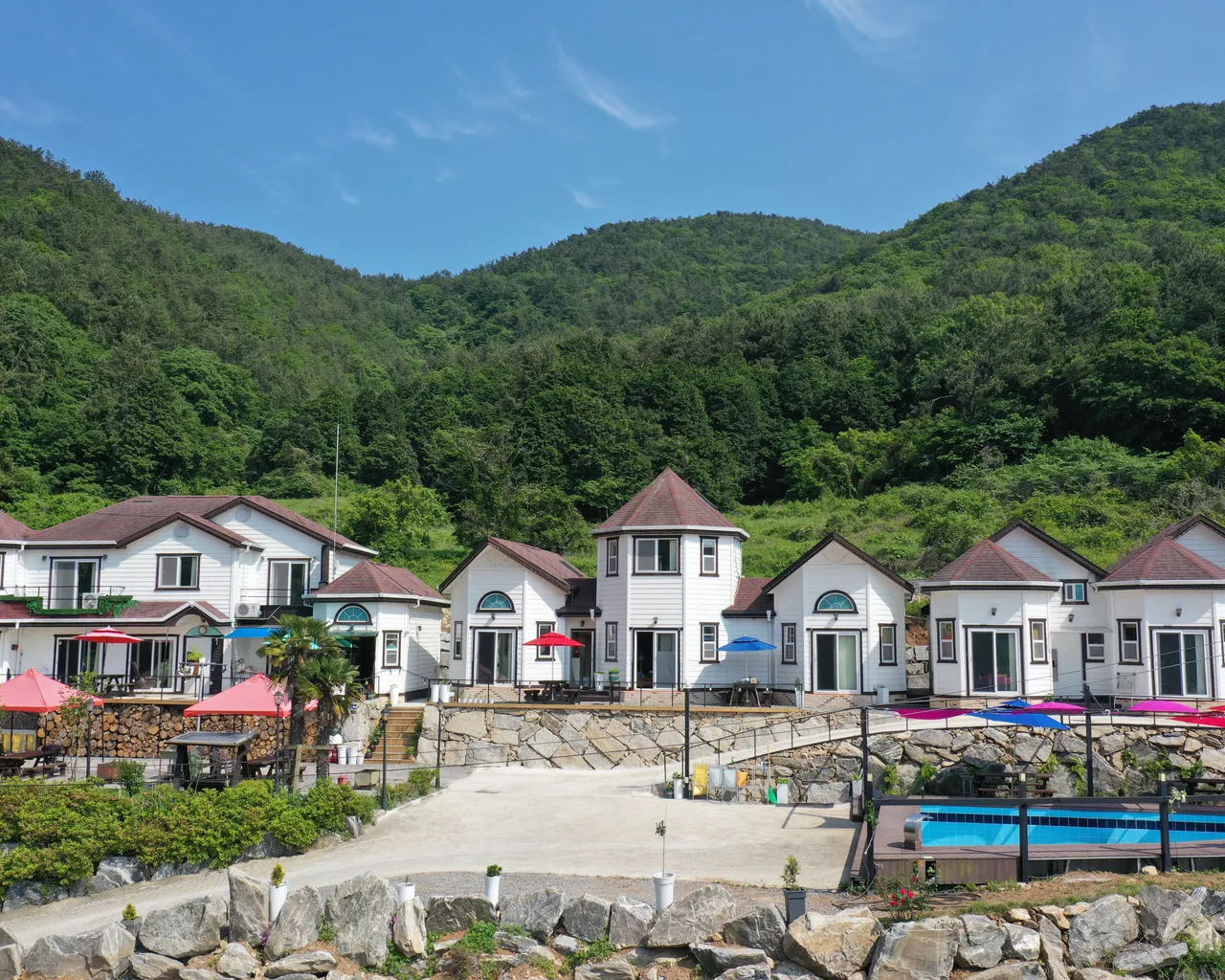 대표 사진