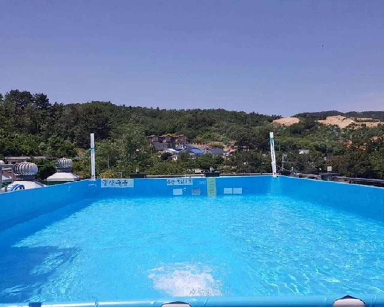 대표 사진