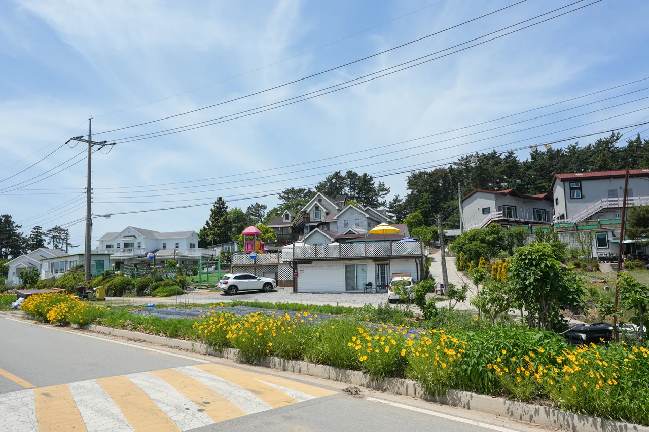 태양은가득히 펜션 사진