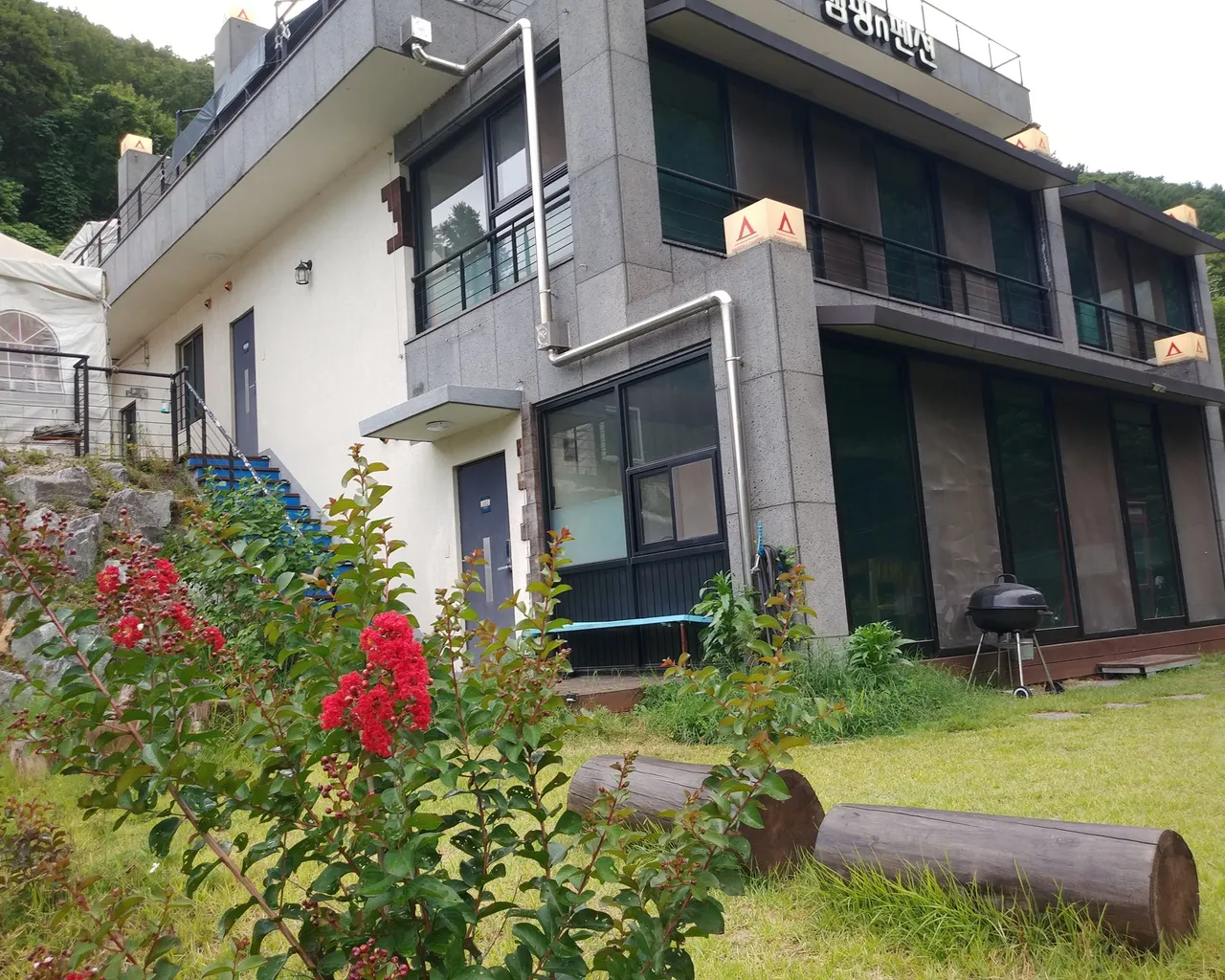 대표 사진