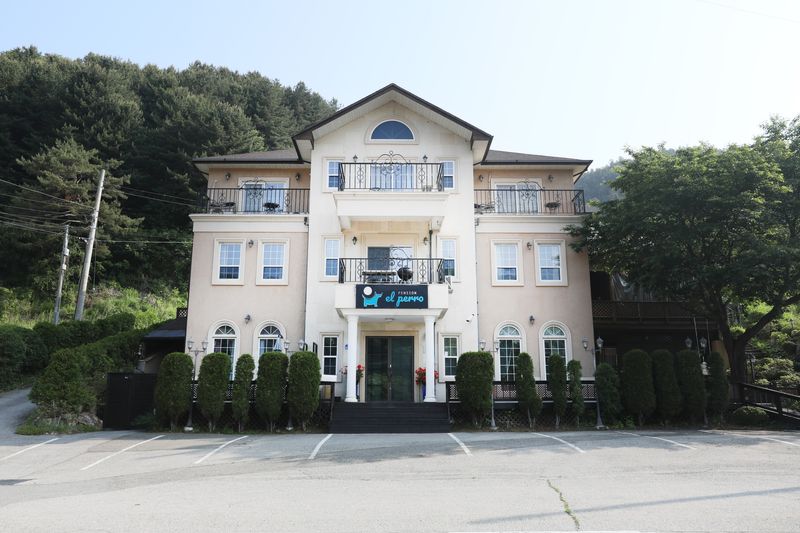대표사진