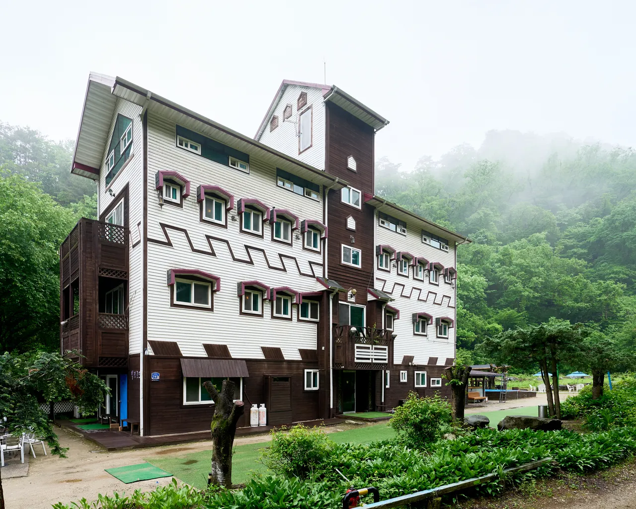 대표 사진